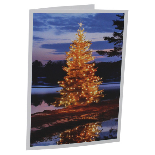 Lot cartonnage photo Sapin brillant - 9x13 au 20x30 cm